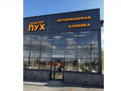 Доктор Пух